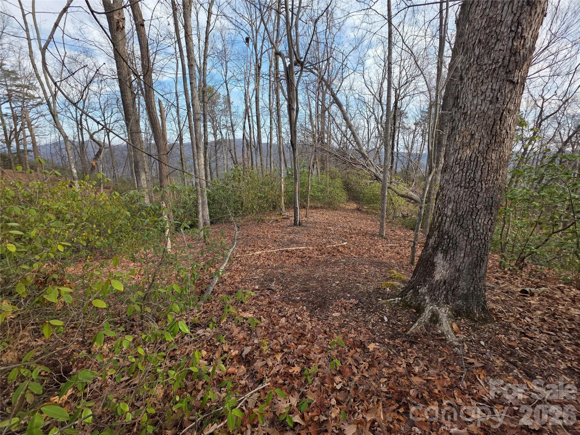 Lot 45 Ridgecrest Drive - Photo 2