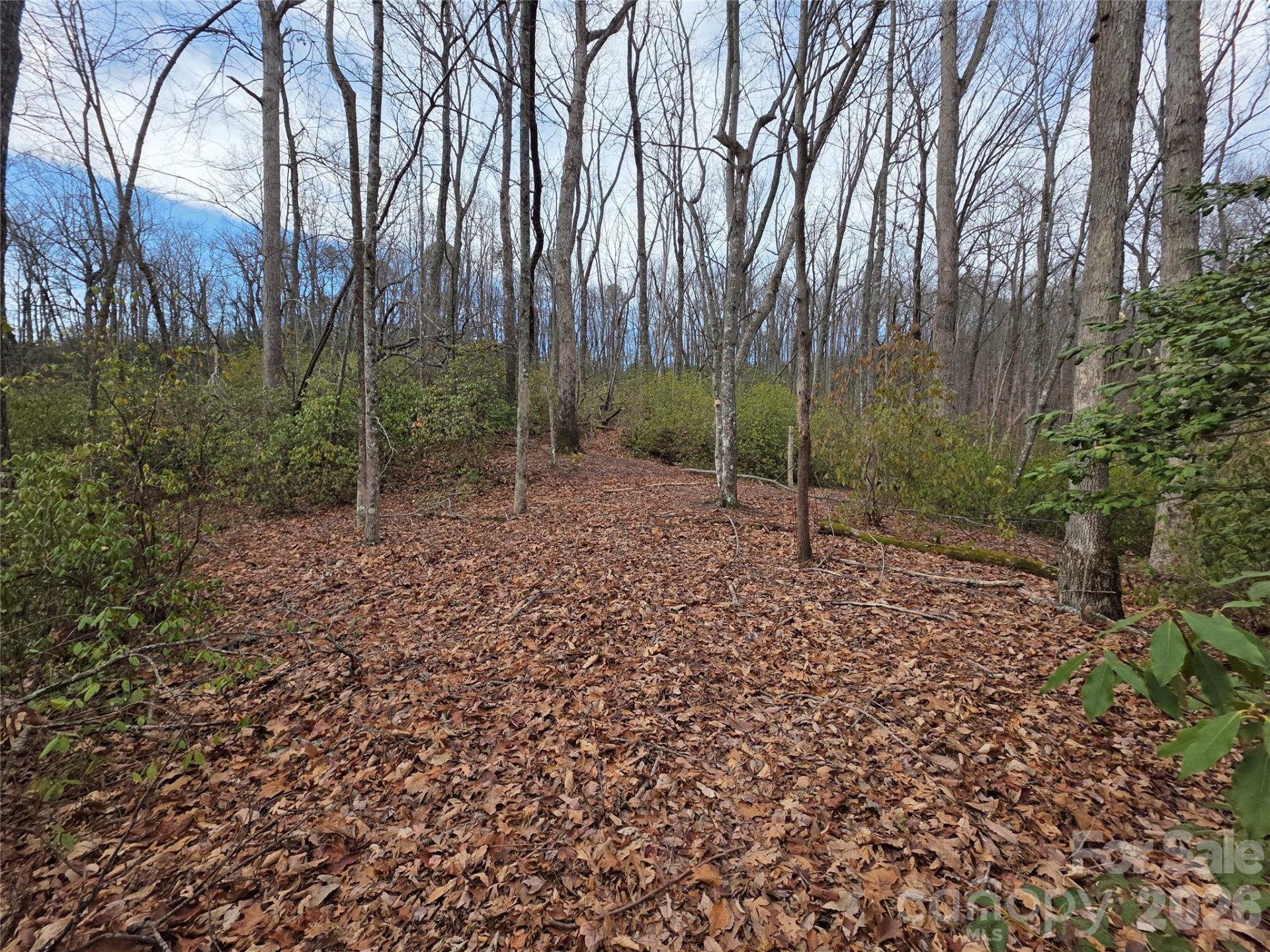 Lot 45 Ridgecrest Drive - Photo 15