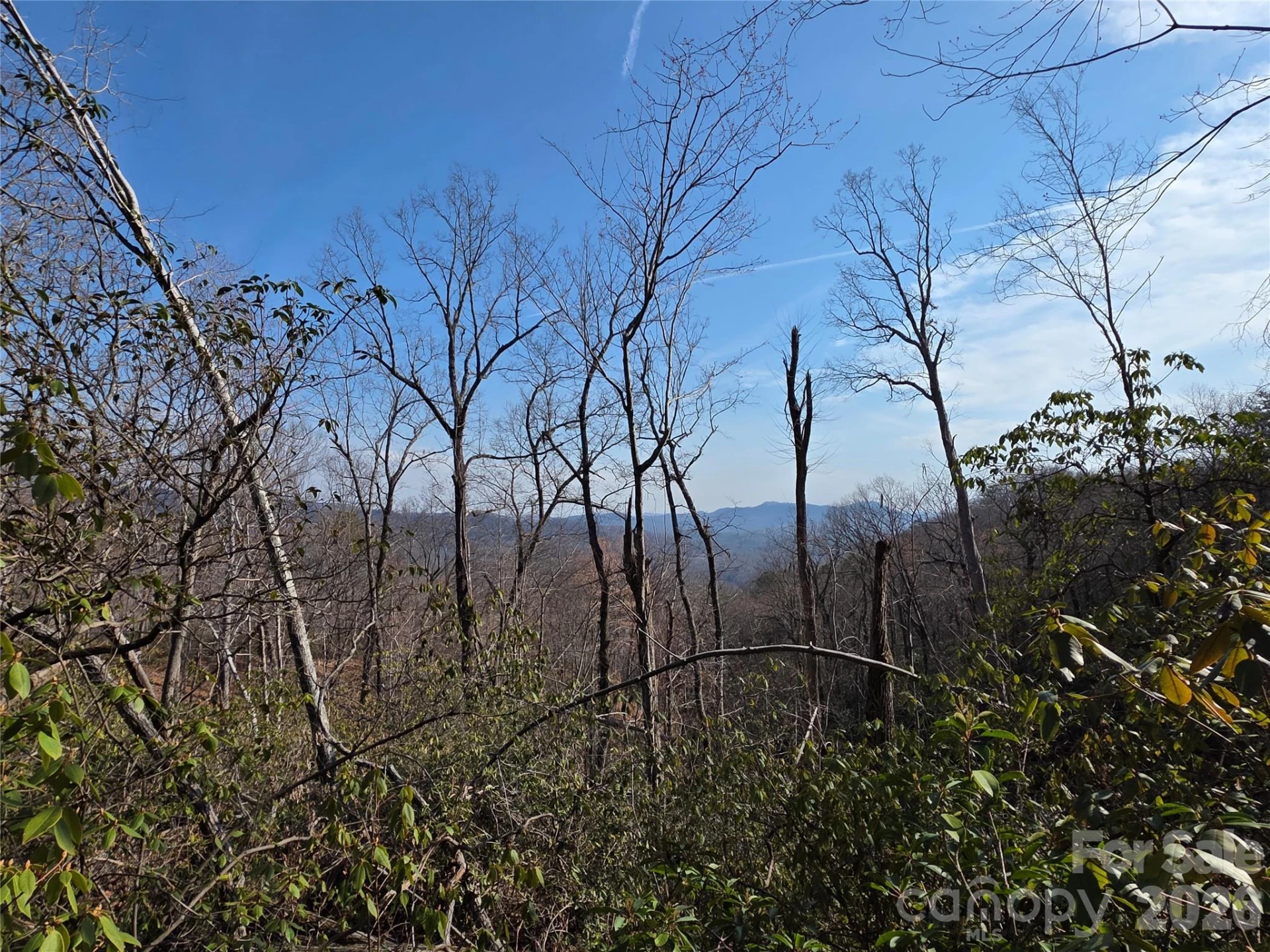 Lot 45 Ridgecrest Drive - Photo 17