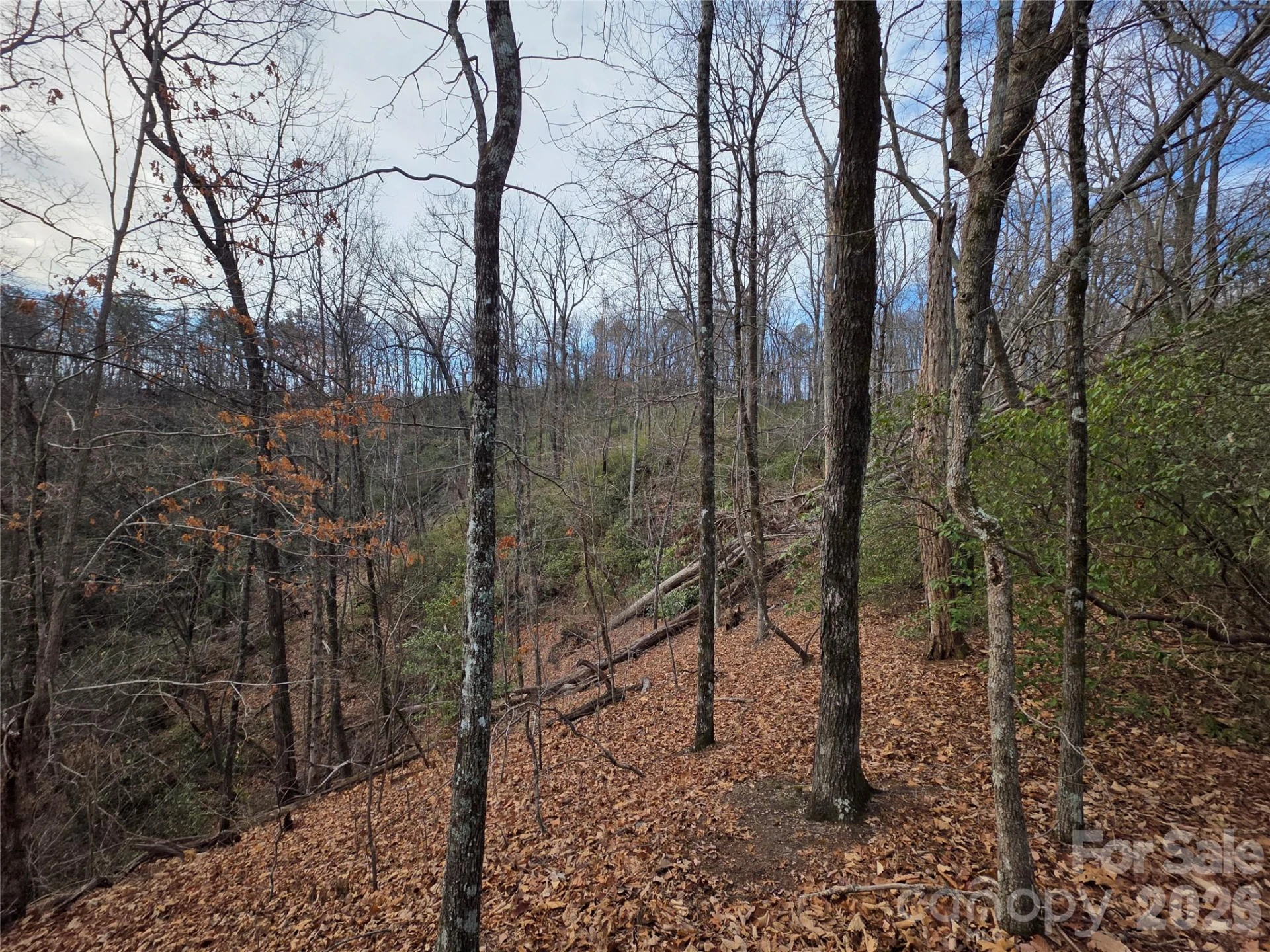 Lot 45 Ridgecrest Drive - Photo 18