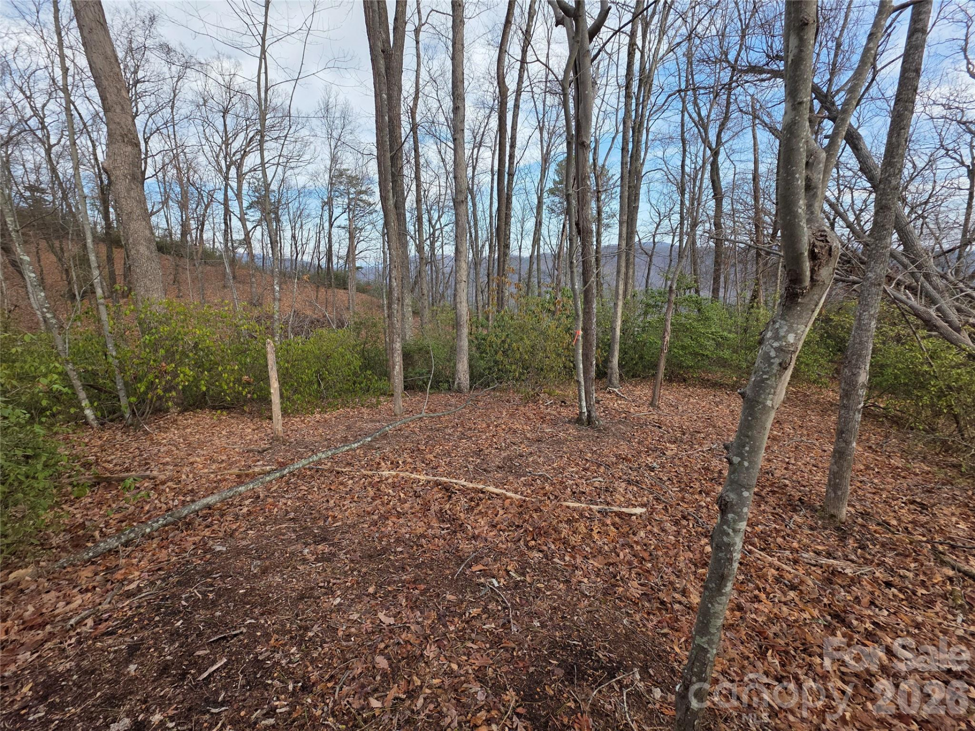 Lot 45 Ridgecrest Drive - Photo 5