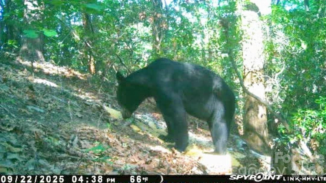 Lot 45 Ridgecrest Drive - Photo 7