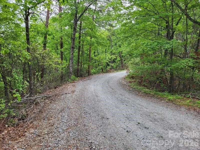 Lot 45 Ridgecrest Drive - Photo 8