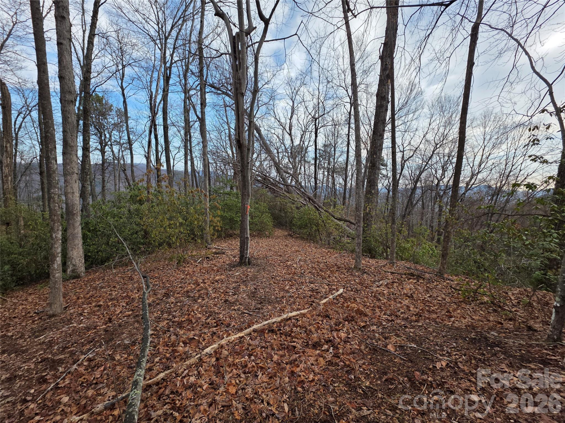 Lot 45 Ridgecrest Drive - Photo 9