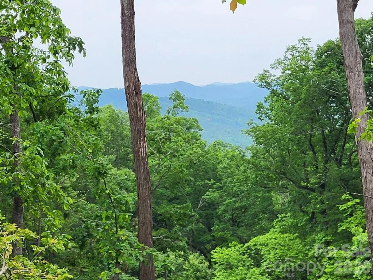 Lot 45 Ridgecrest Drive - Photo 10