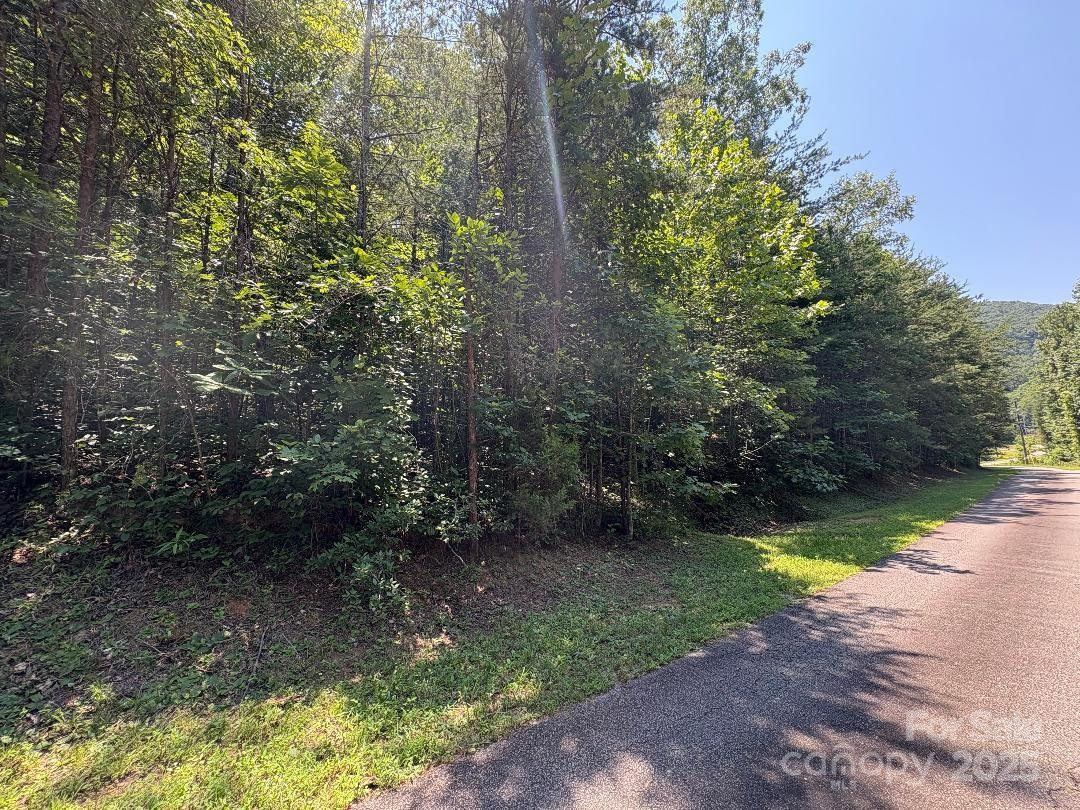 Lot 13 Wildflower Way - Photo 2