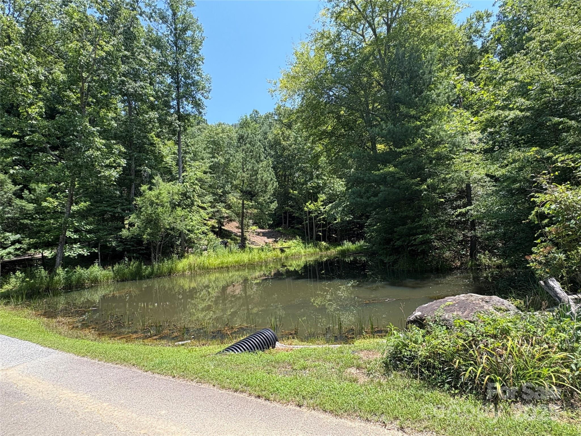 Lot 13 Wildflower Way - Photo 14