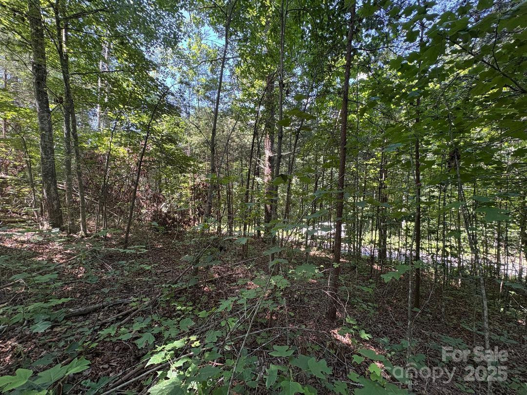 Lot 13 Wildflower Way - Photo 3