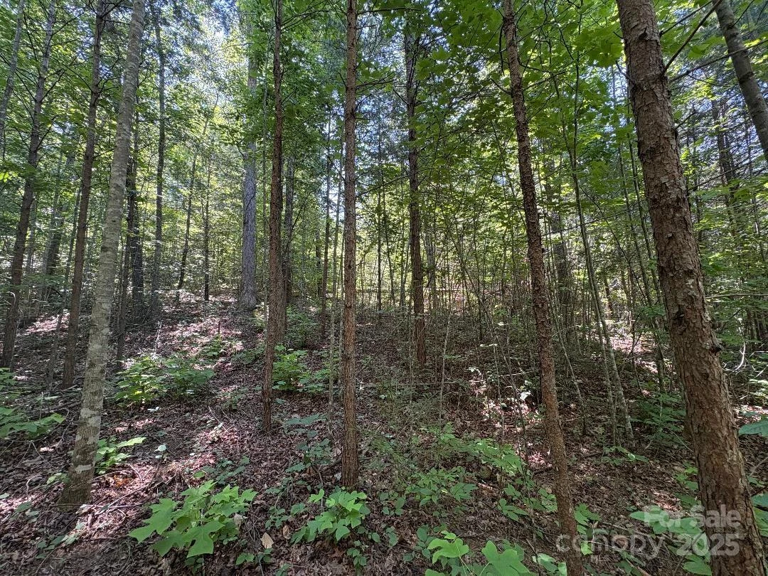 Lot 13 Wildflower Way - Photo 4