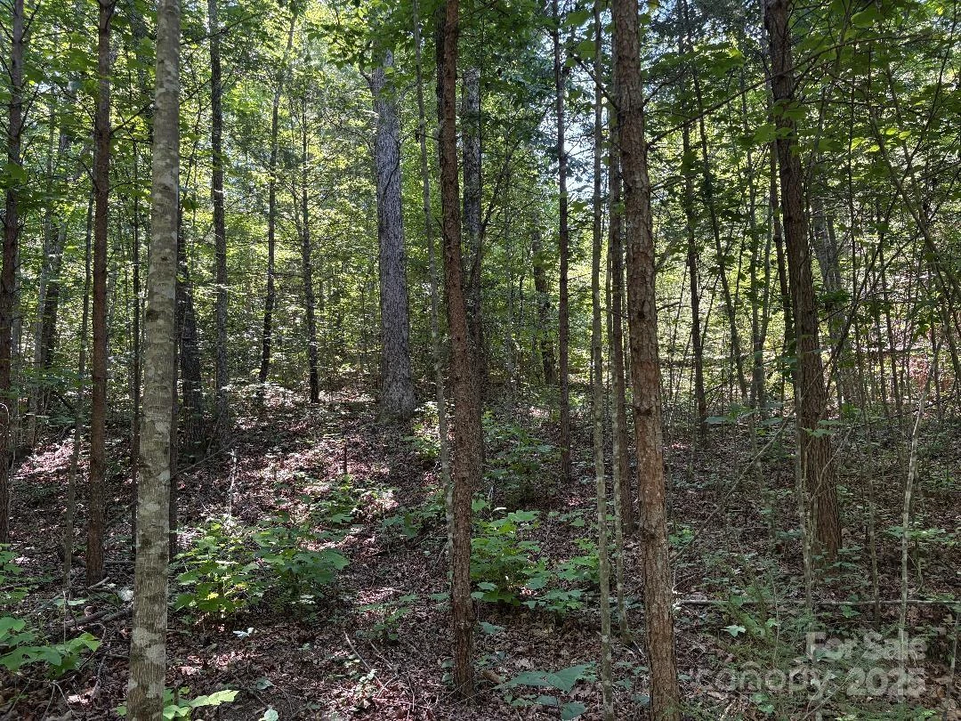 Lot 13 Wildflower Way - Photo 5