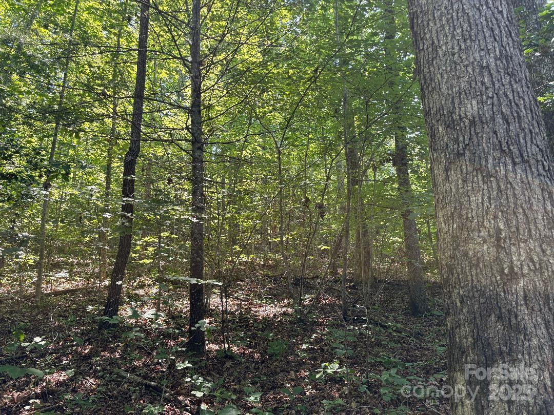 Lot 13 Wildflower Way - Photo 6