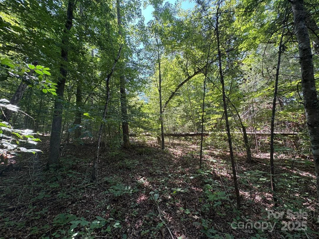 Lot 13 Wildflower Way - Photo 7