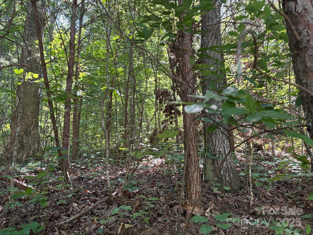 Lot 13 Wildflower Way - Photo 8