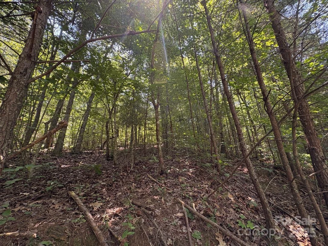 Lot 13 Wildflower Way - Photo 9