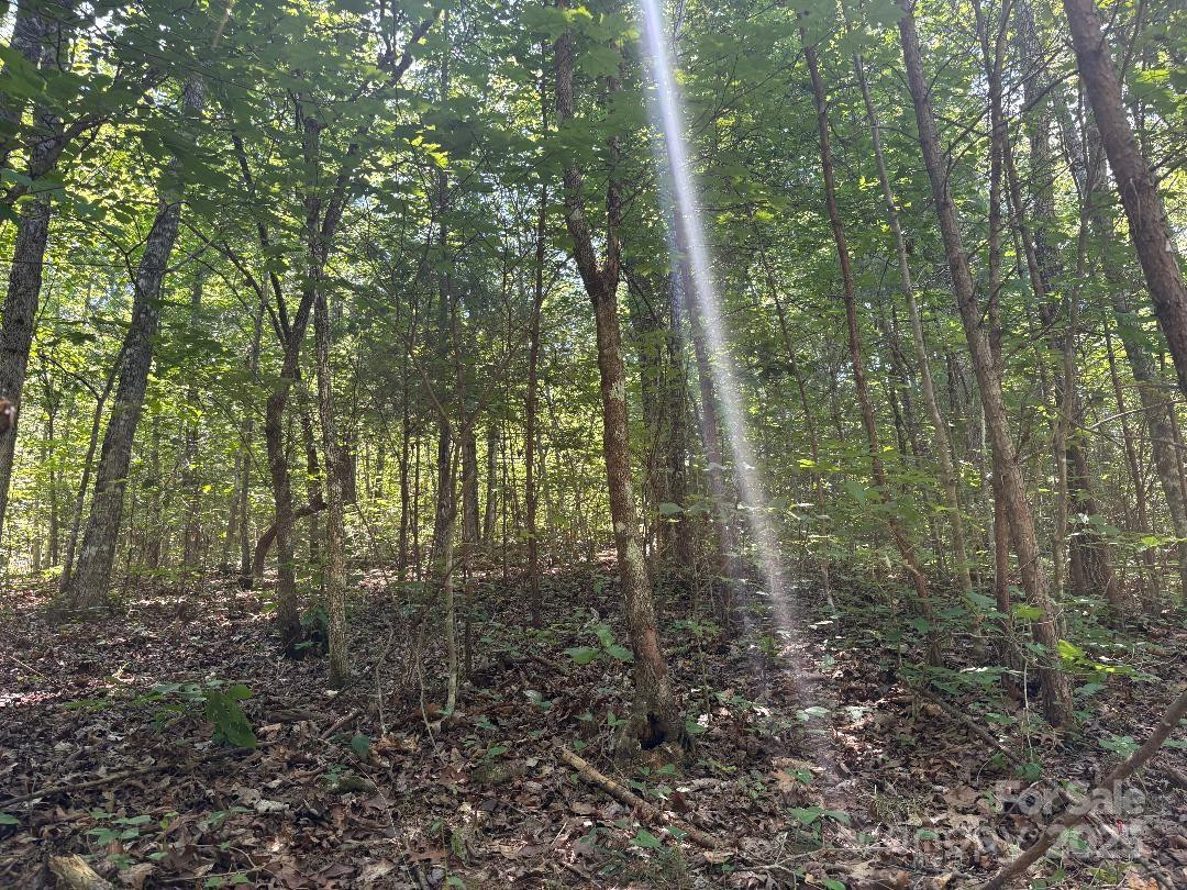 Lot 13 Wildflower Way - Photo 10