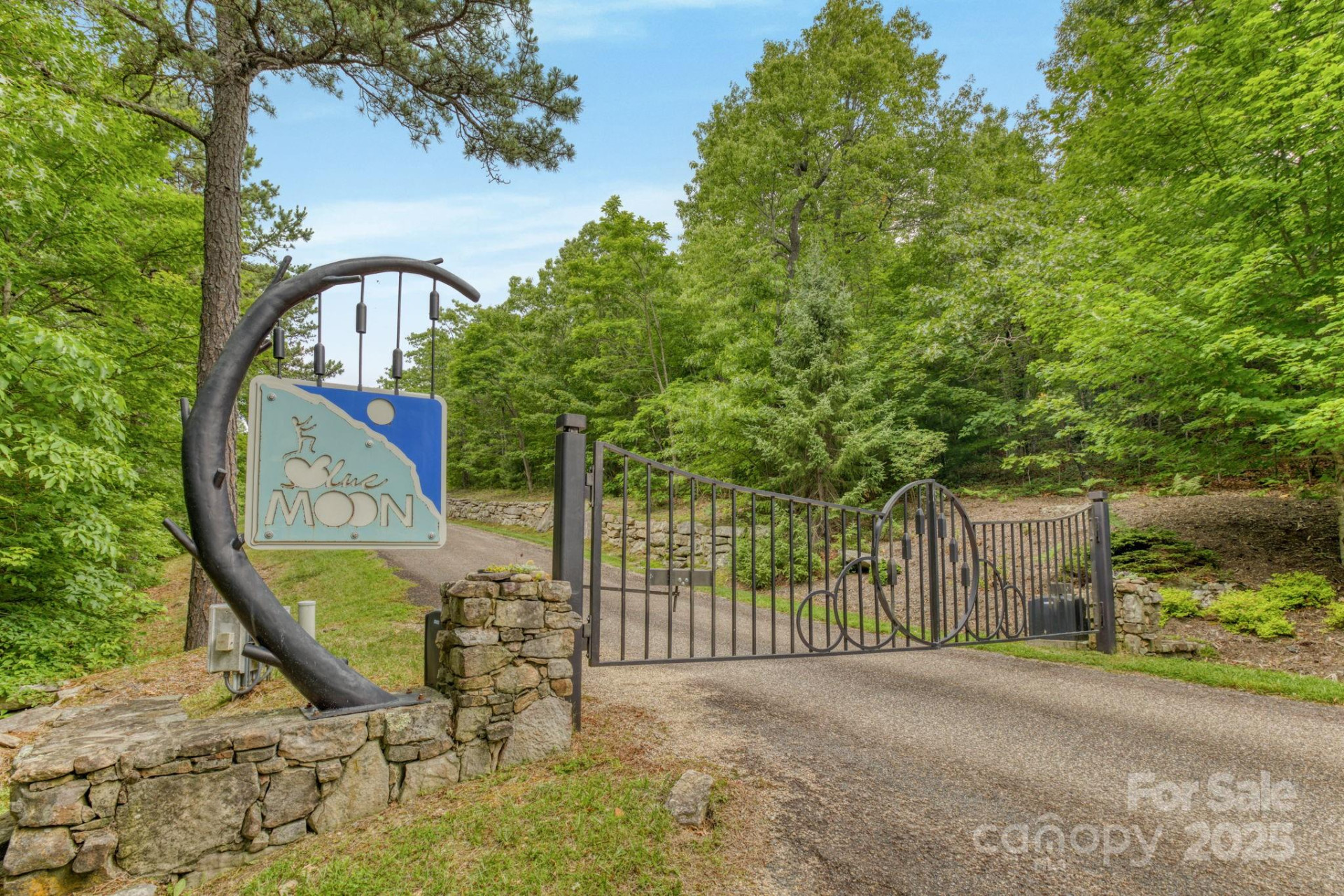 117 Sahalee Trail #2 - Photo 2