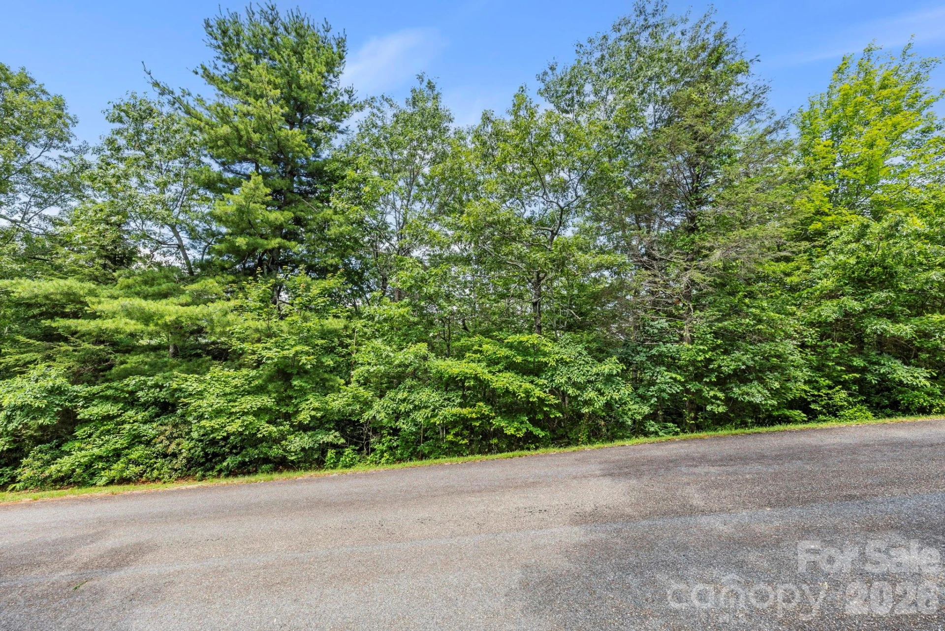 117 Sahalee Trail #2 - Photo 33