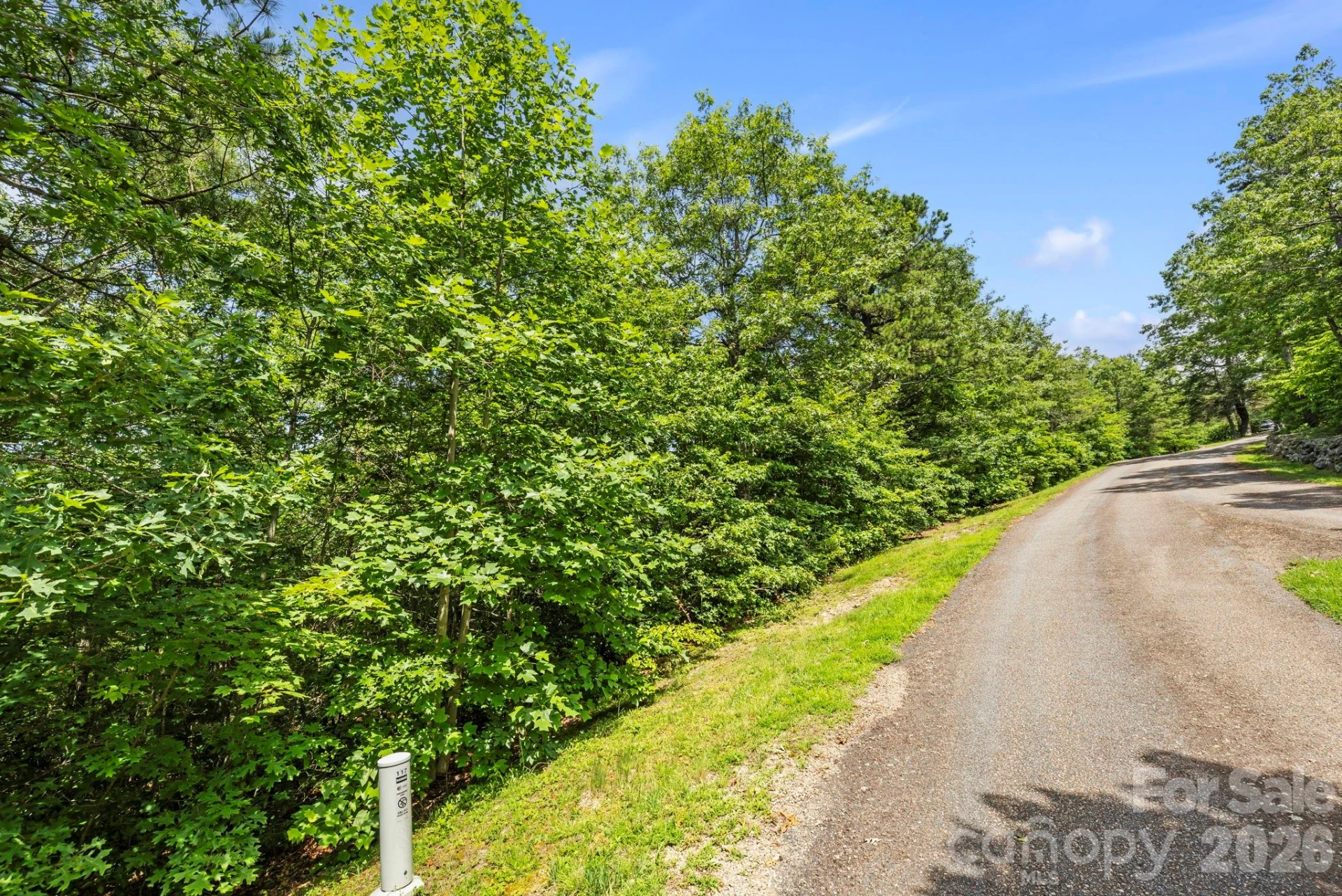 117 Sahalee Trail #2 - Photo 35