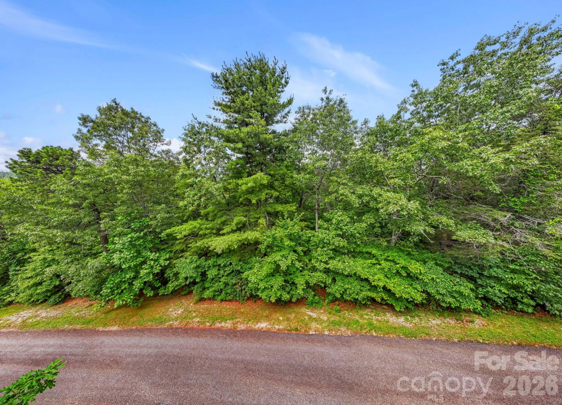 117 Sahalee Trail #2 - Photo 37