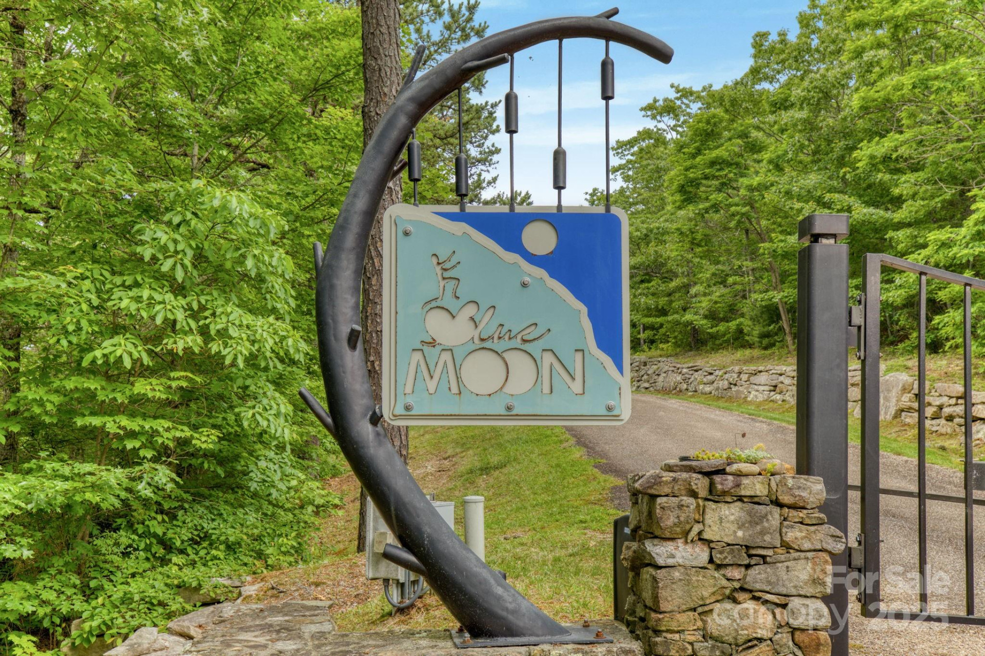 117 Sahalee Trail #2 - Photo 3