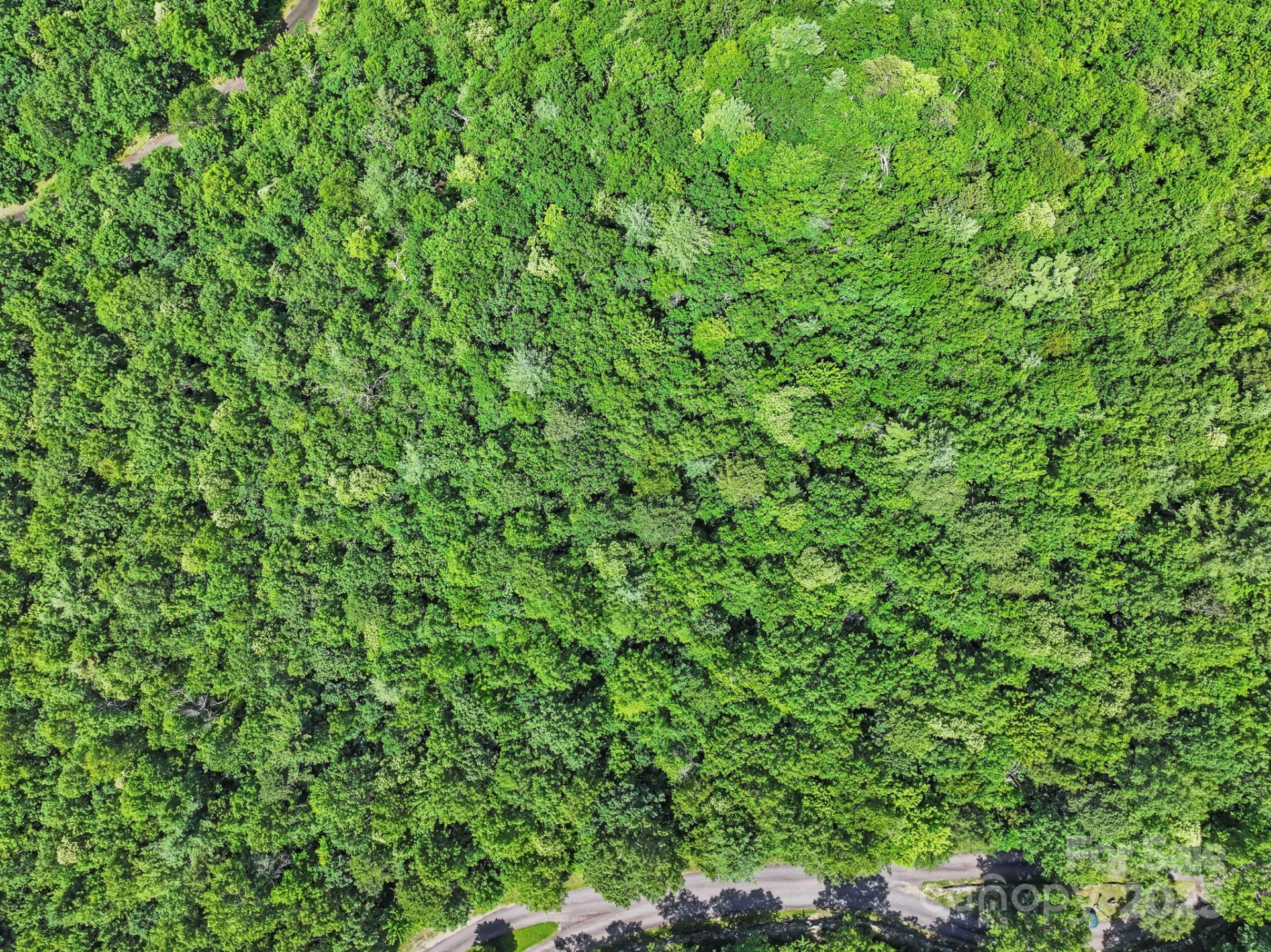 117 Sahalee Trail #2 - Photo 26