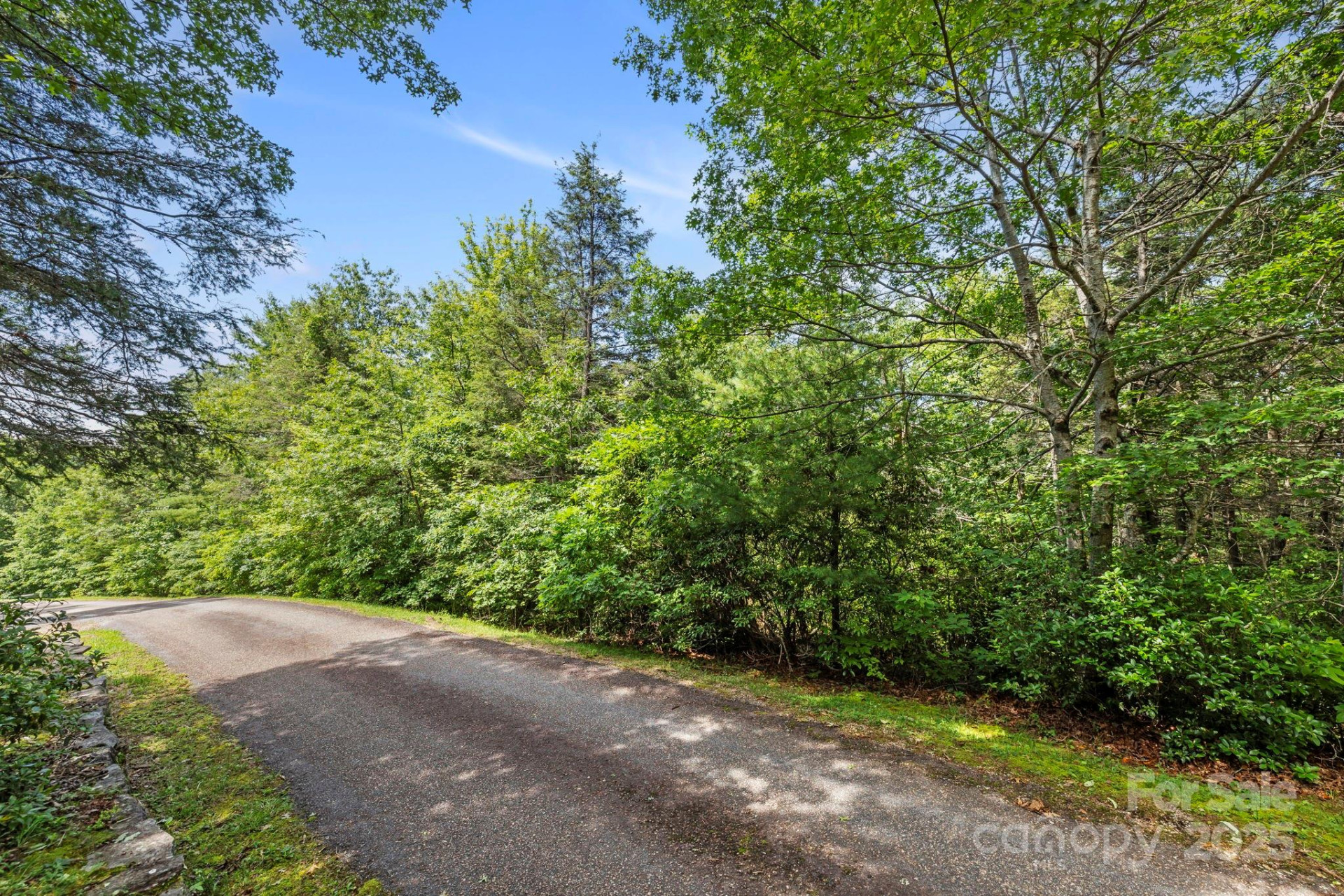 117 Sahalee Trail #2 - Photo 4