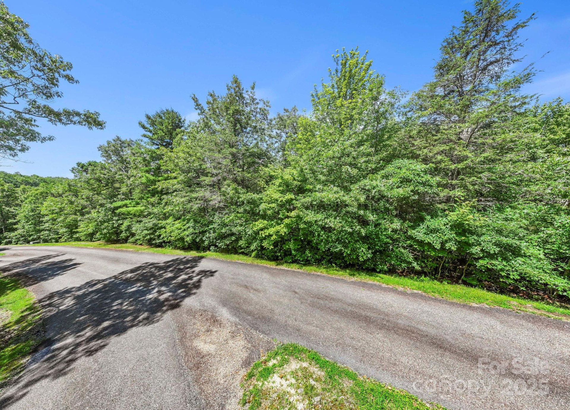 117 Sahalee Trail #2 - Photo 5