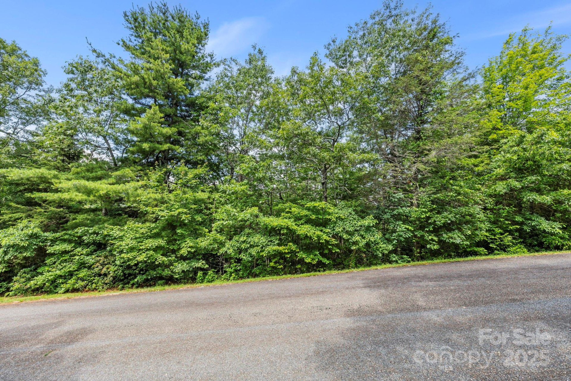 117 Sahalee Trail #2 - Photo 8