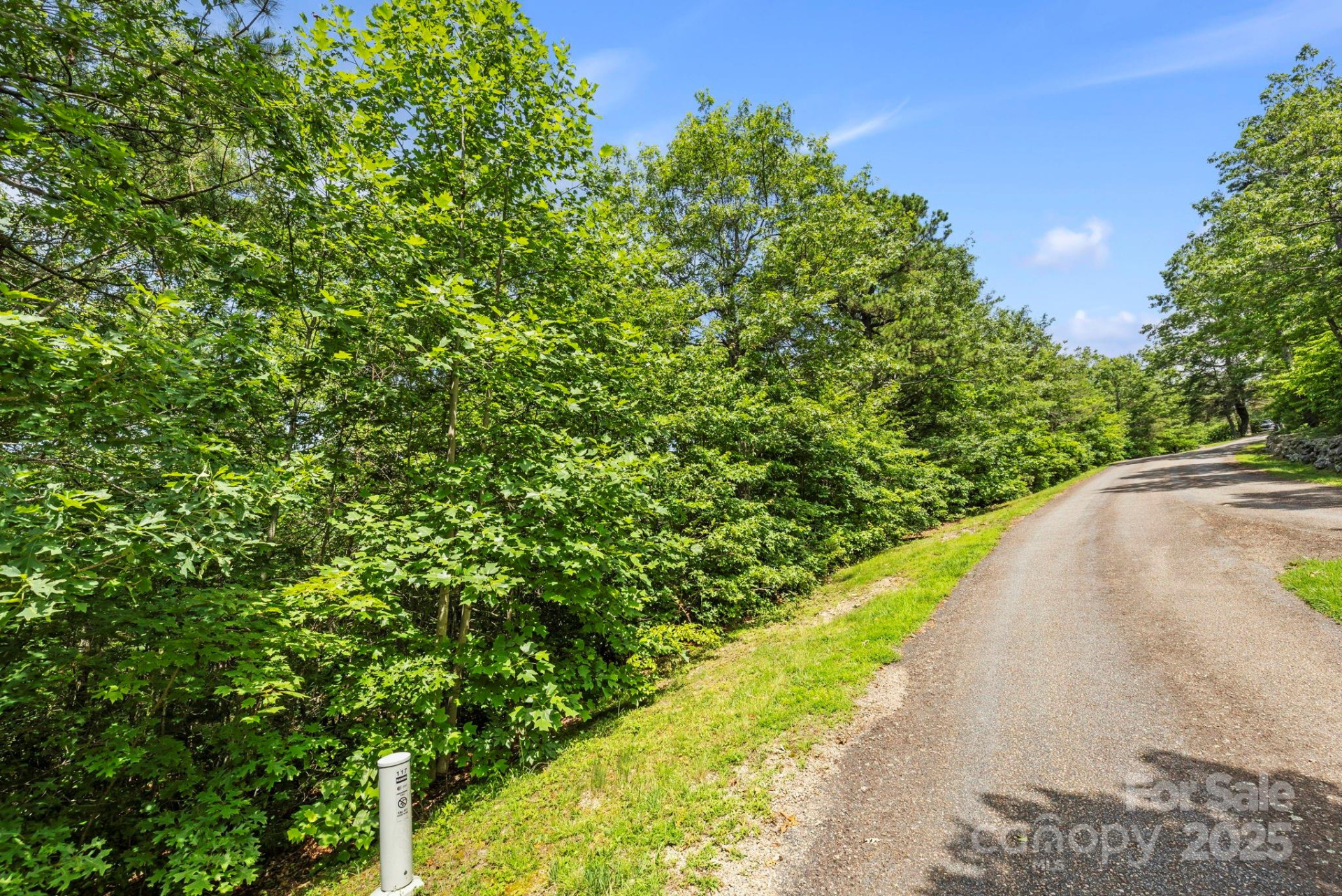 117 Sahalee Trail #2 - Photo 10