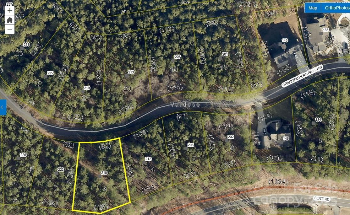 218 Grandfathers Pass #3 - Photo 2