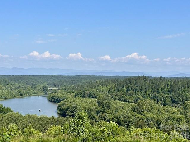 218 Grandfathers Pass #3 - Photo 15