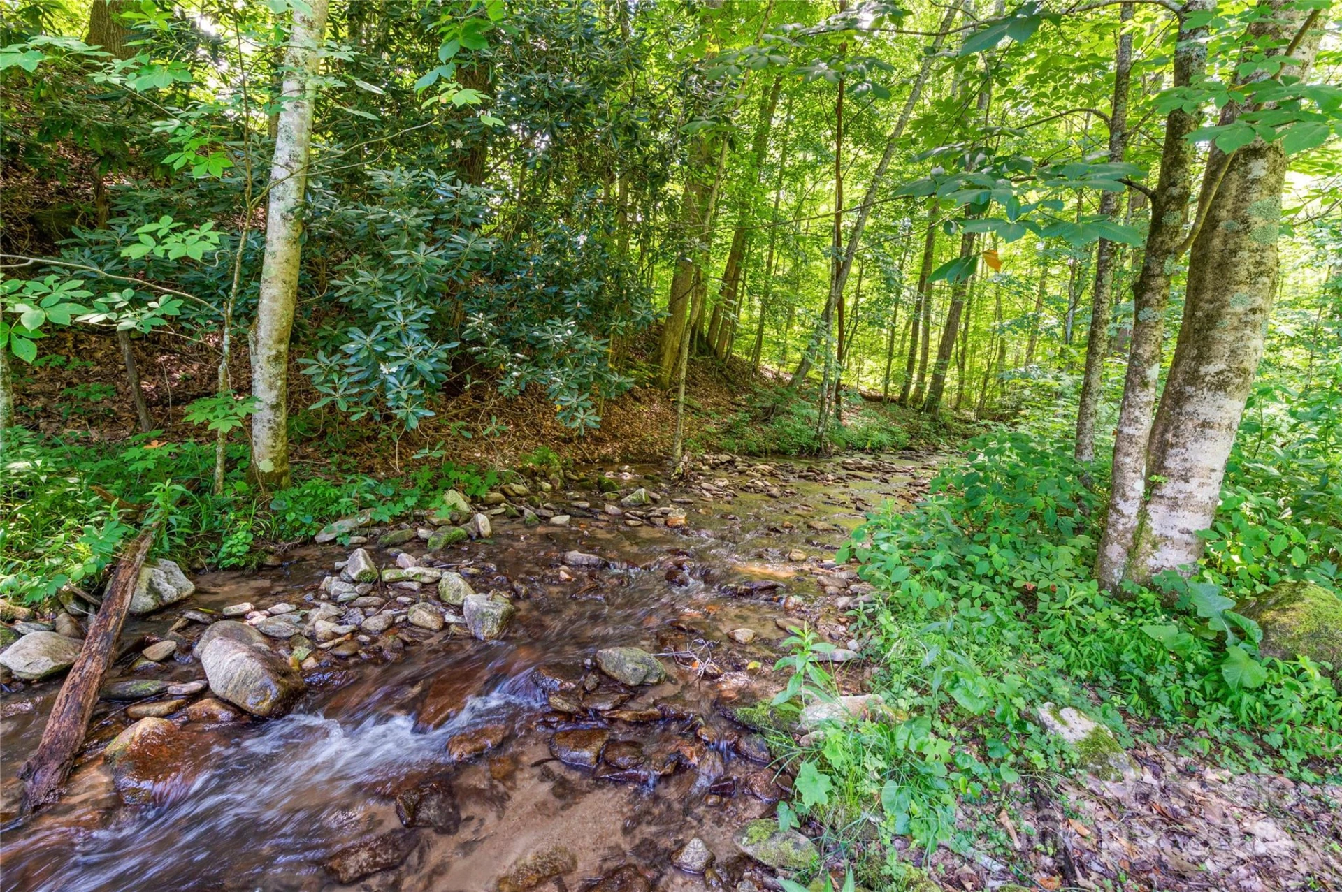 2316 NC 63 Highway - Photo 38