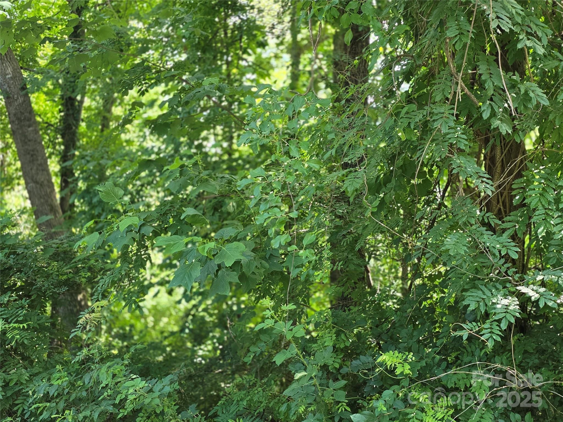 99999 Laurel Drive - Photo 4