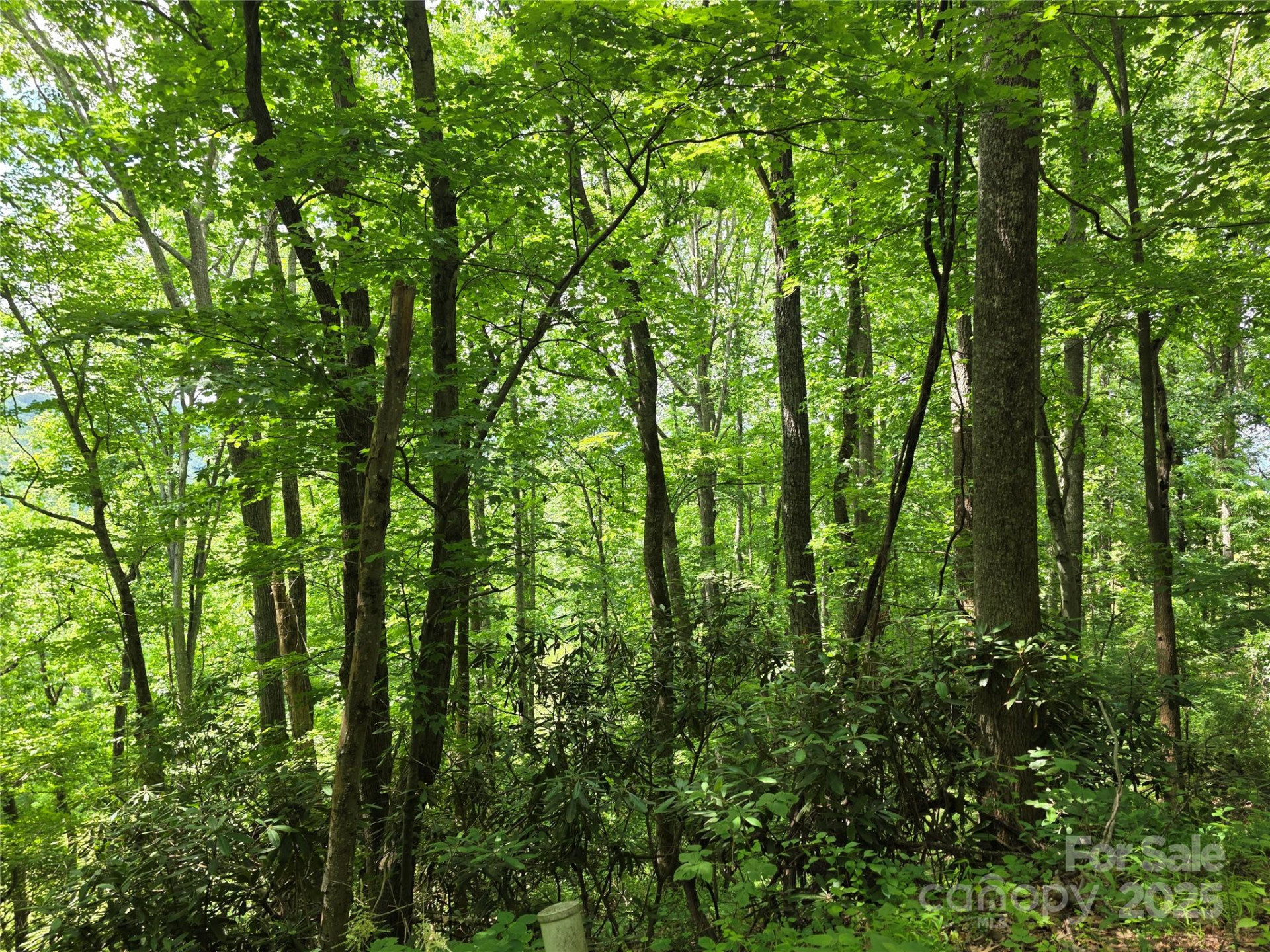 99999 Laurel Drive - Photo 5