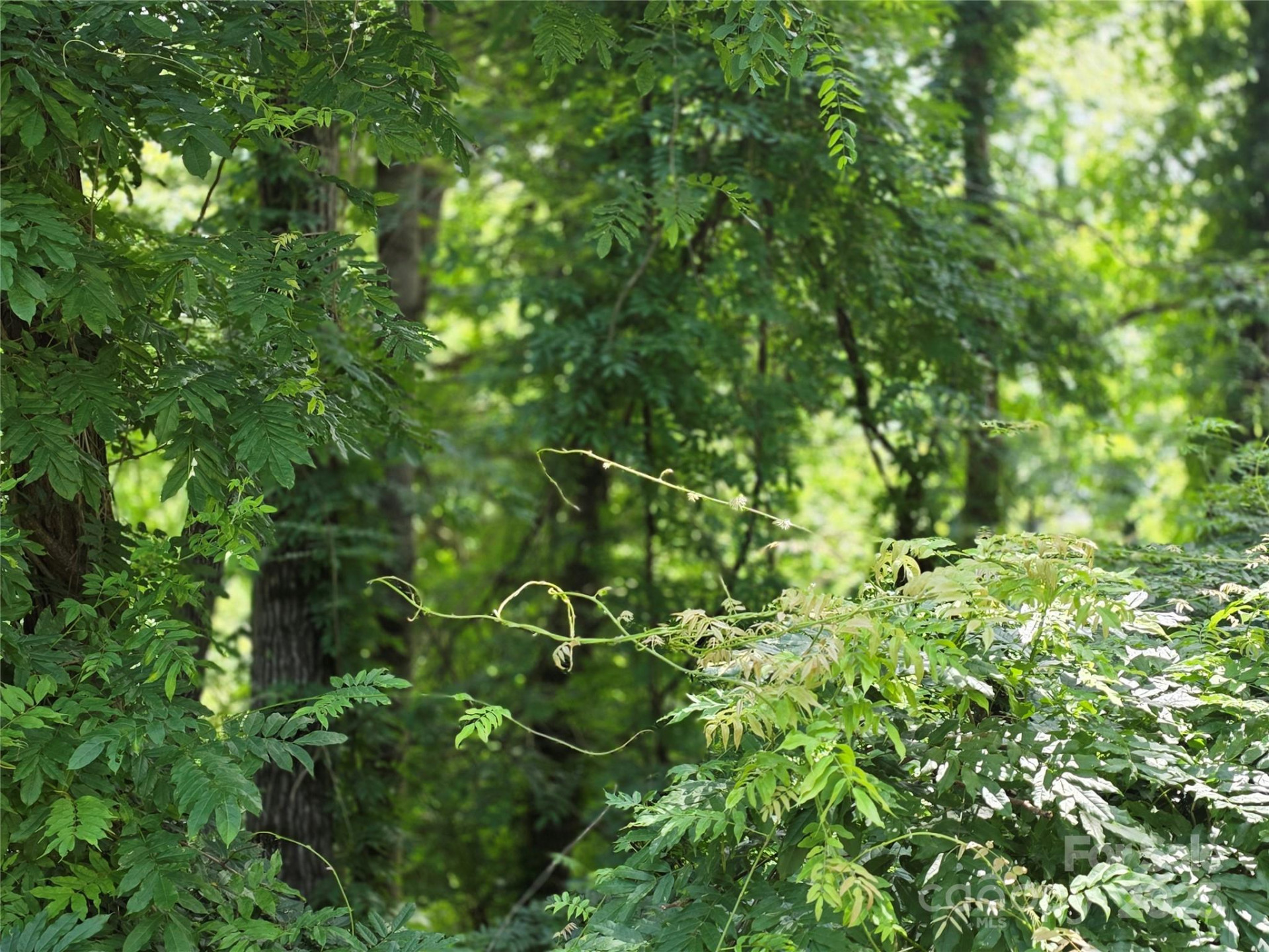 99999 Laurel Drive - Photo 6