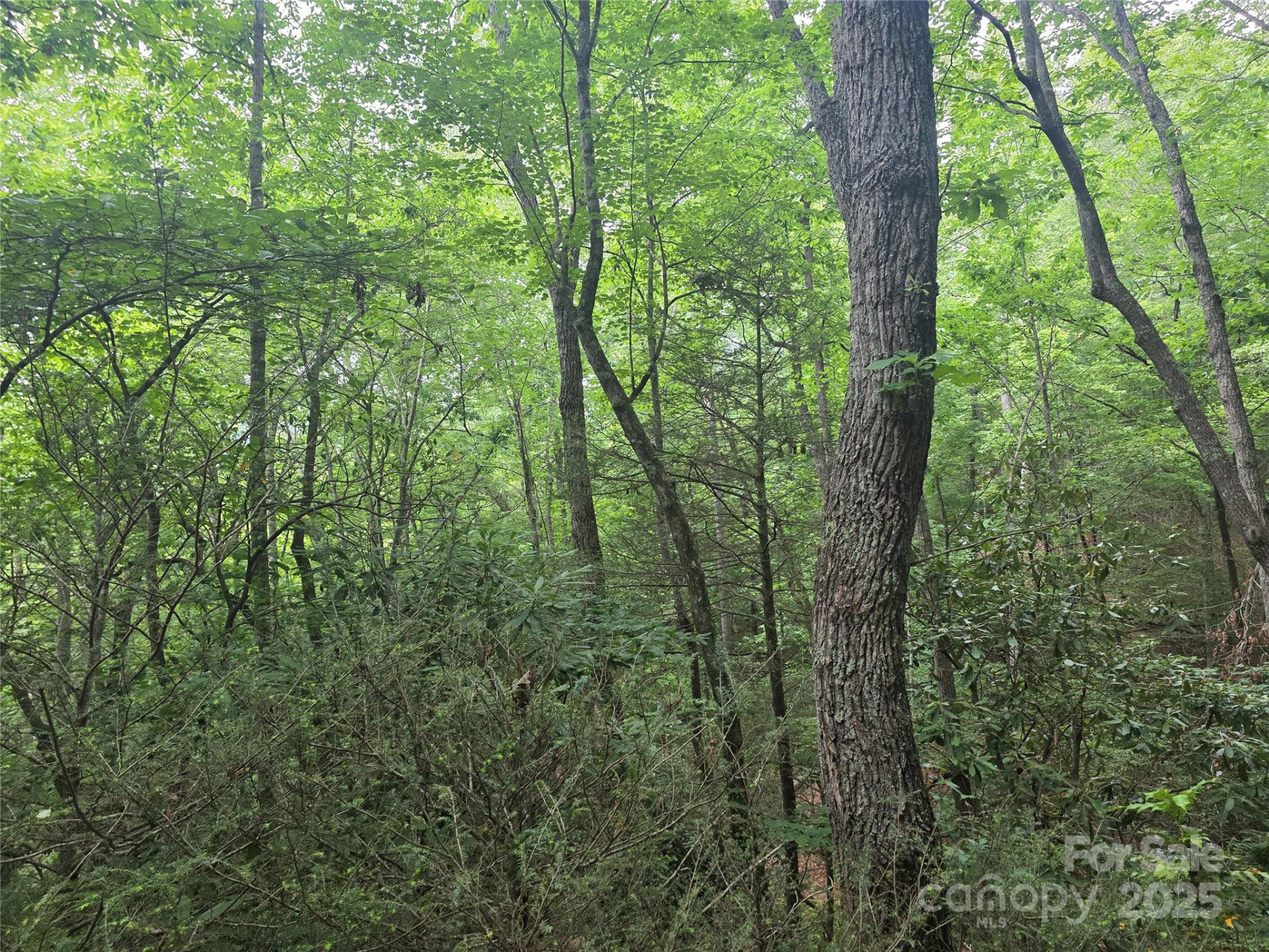 99999 Laurel Drive - Photo 8