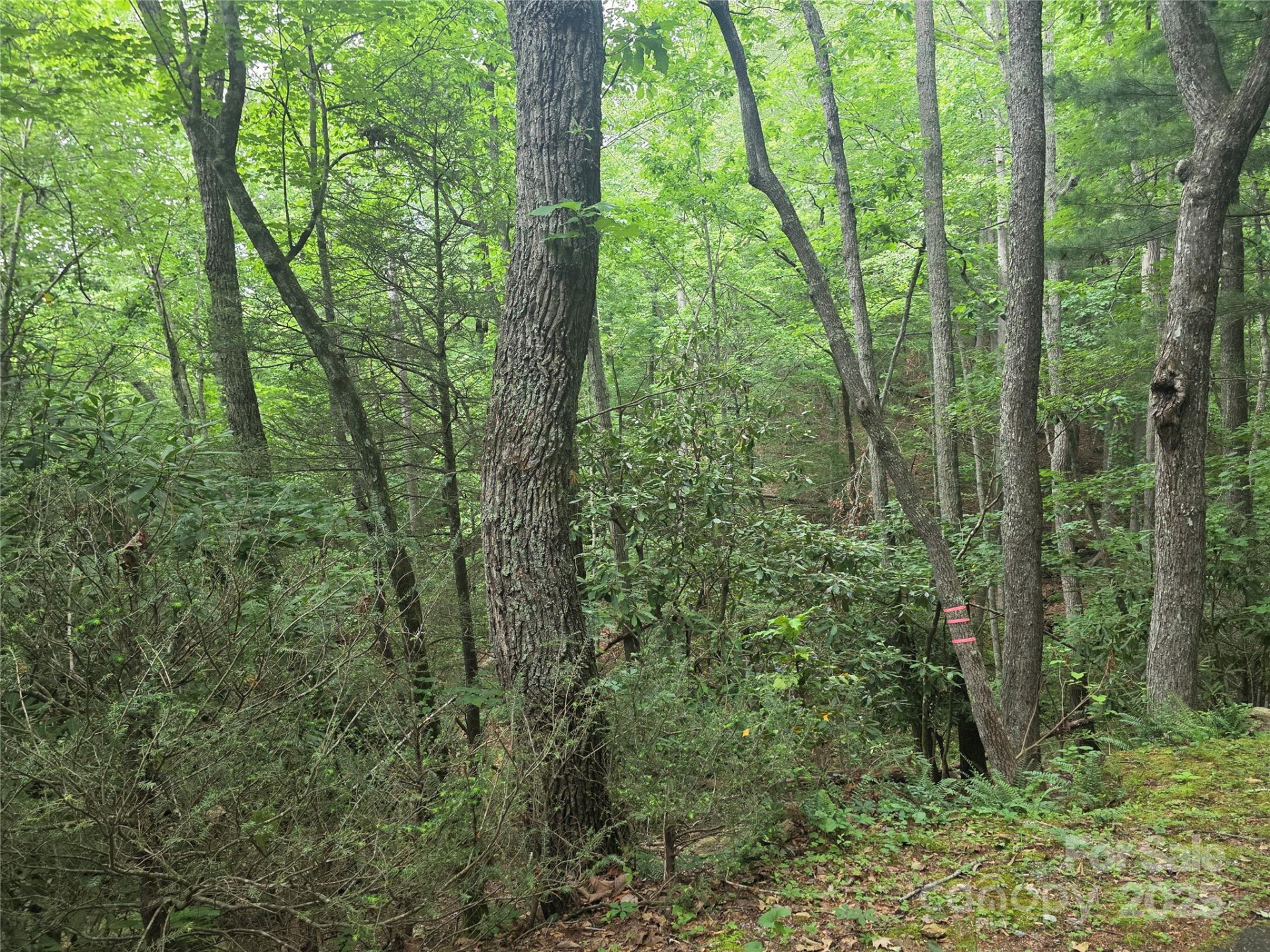 99999 Laurel Drive - Photo 9