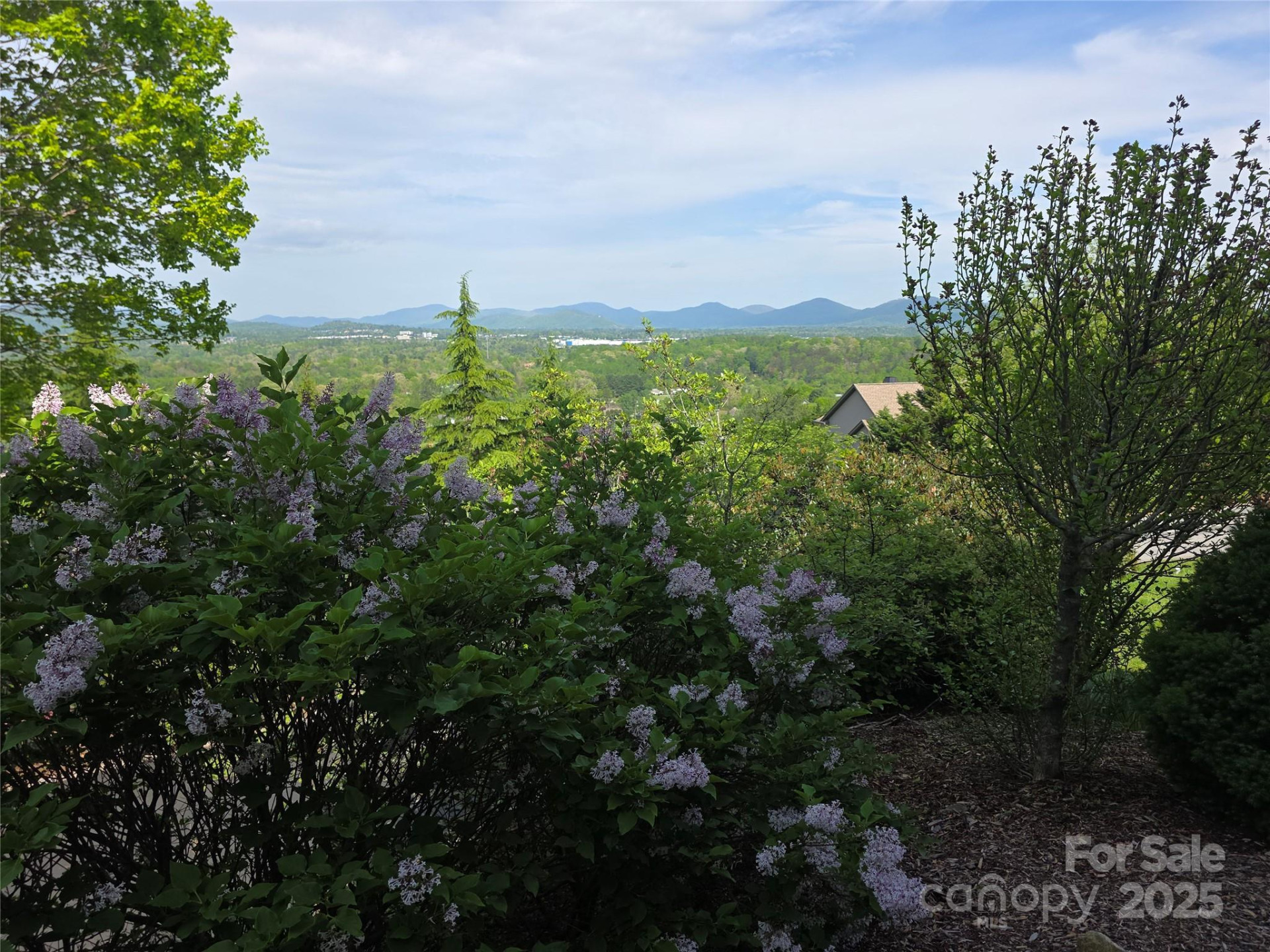 99999 Red Oak Drive - Photo 14