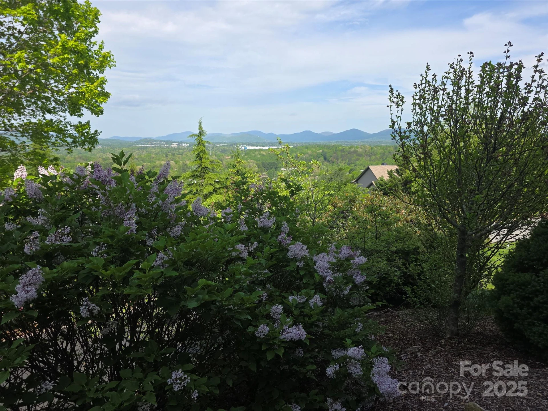 99999 Red Oak Drive - Photo 14
