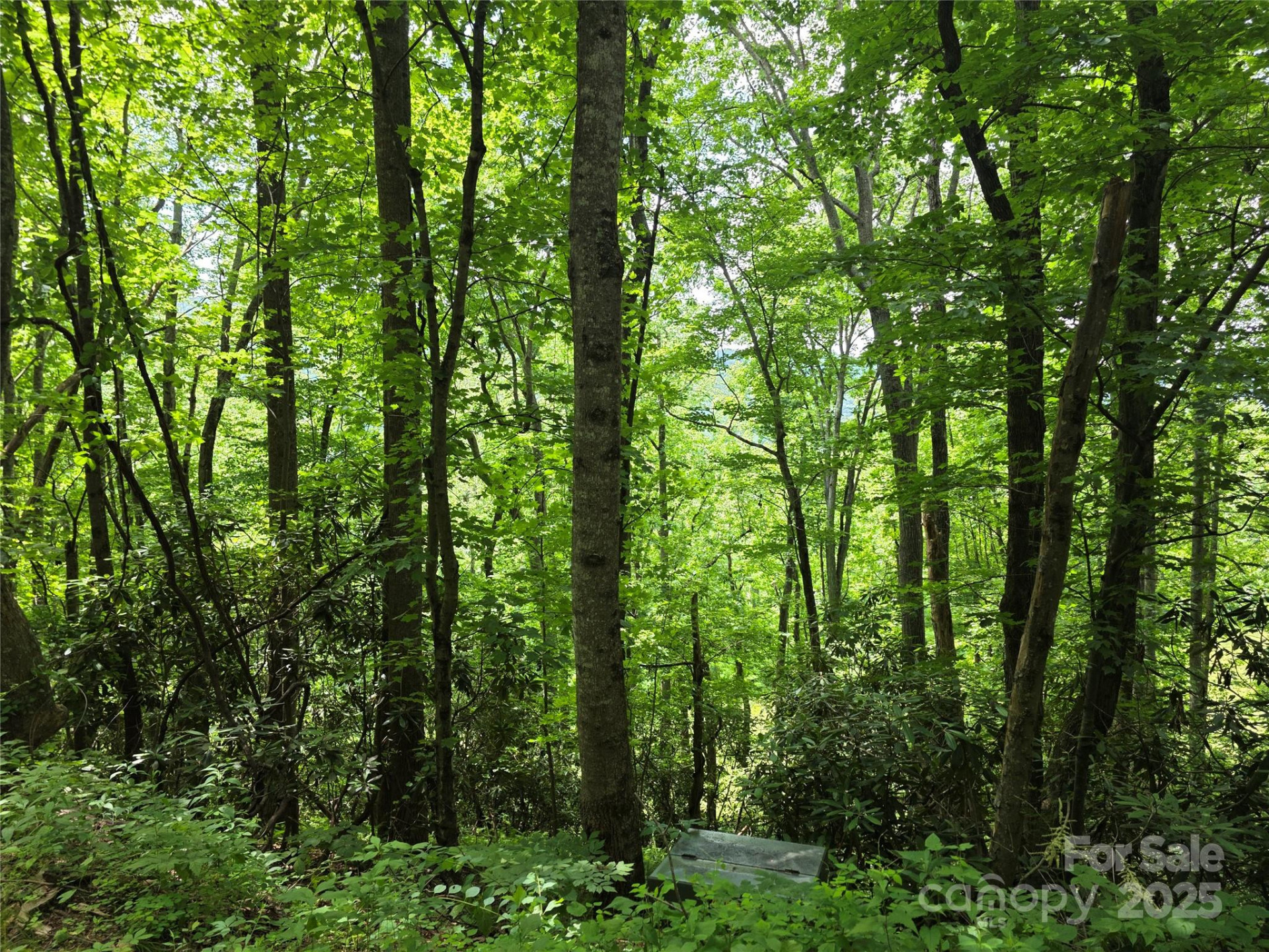 99999 Red Oak Drive - Photo 4