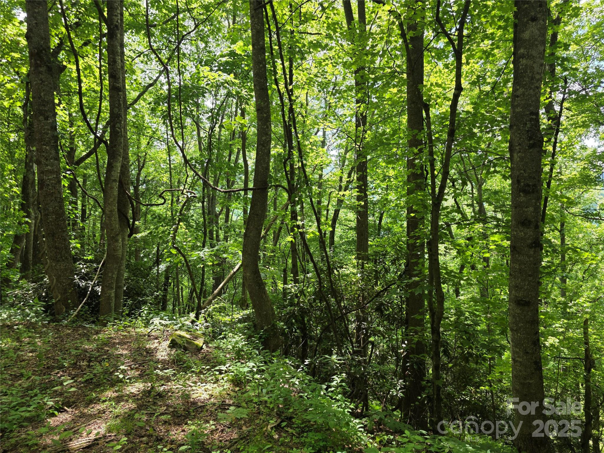 99999 Red Oak Drive - Photo 5