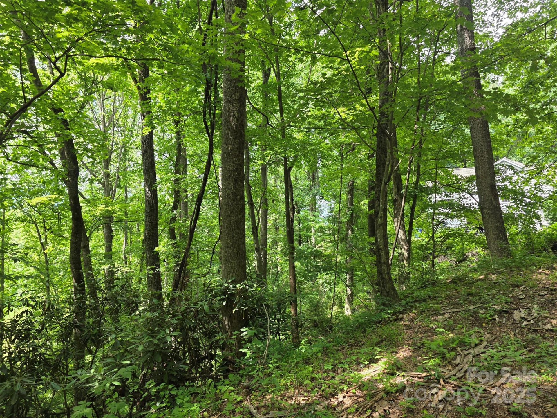 99999 Red Oak Drive - Photo 6