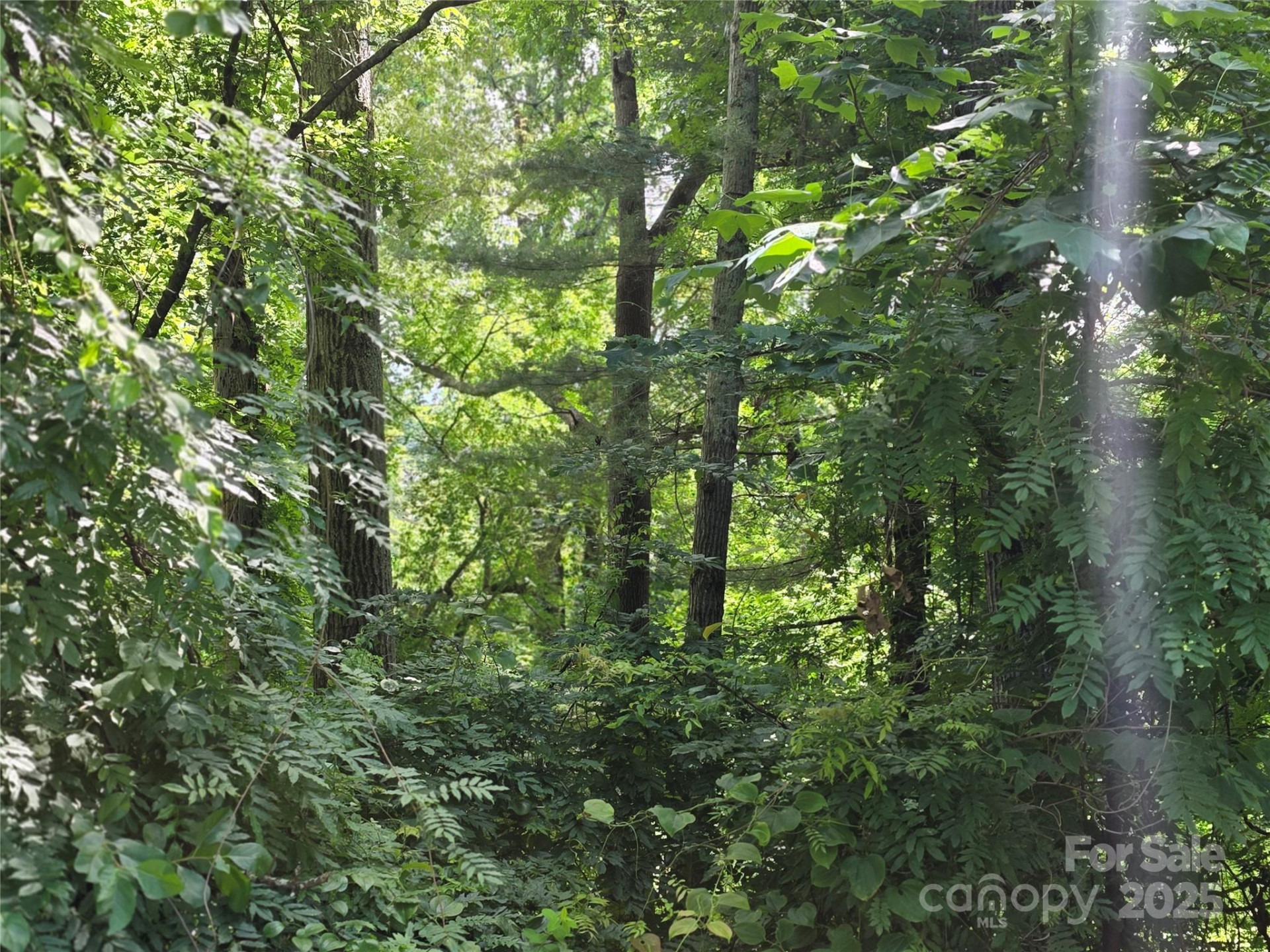 99999 Red Oak Drive - Photo 7