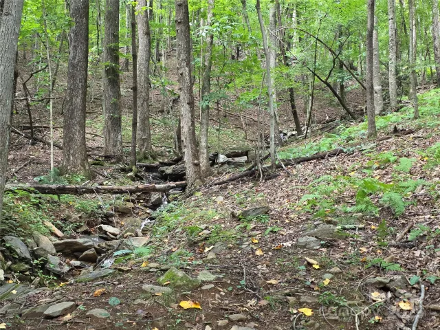 800610 Ivy Road, Mills River, NC, 28759
