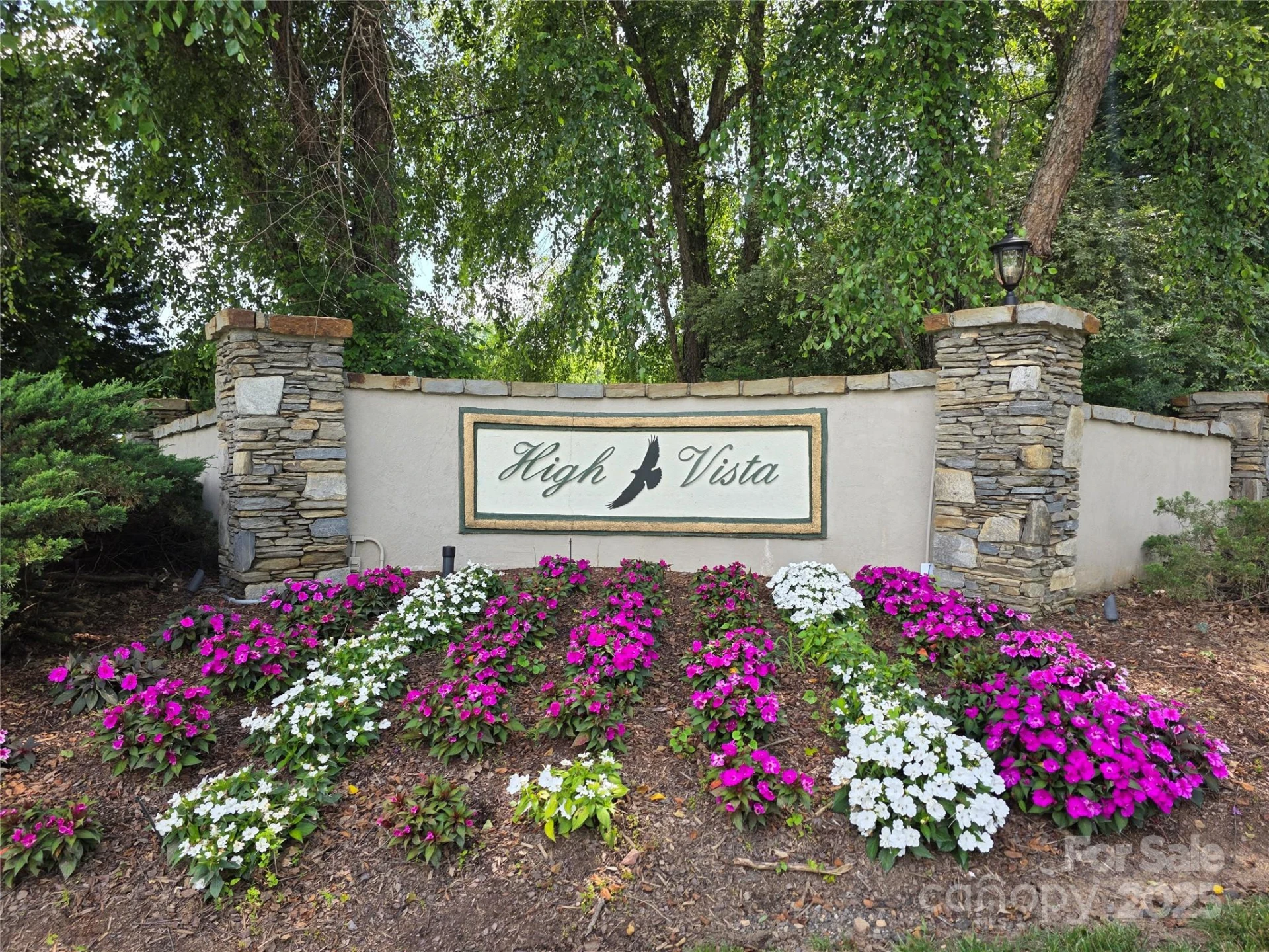 800610 Ivy Road #217 - Photo 2
