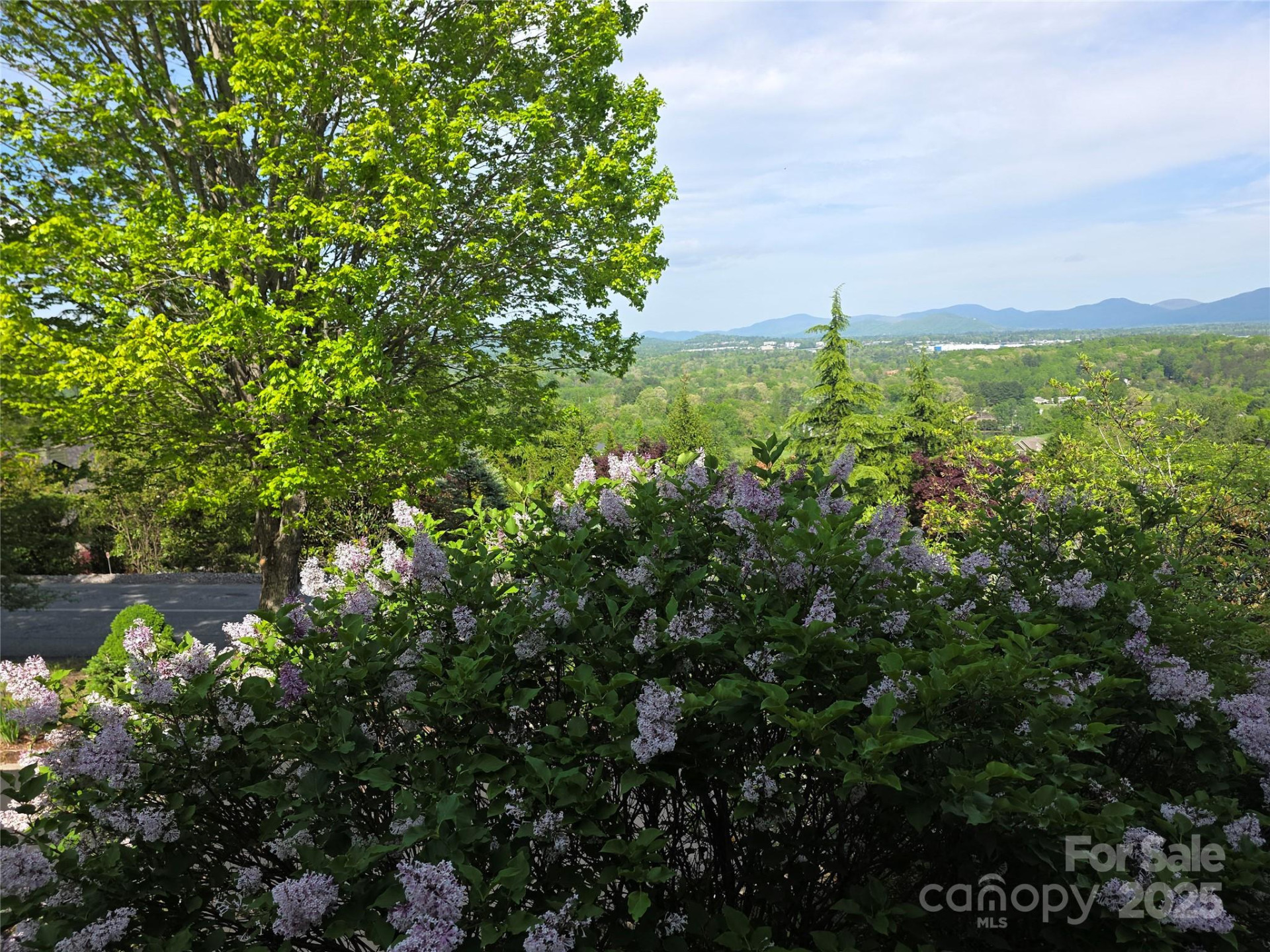 800610 Ivy Road #217 - Photo 13