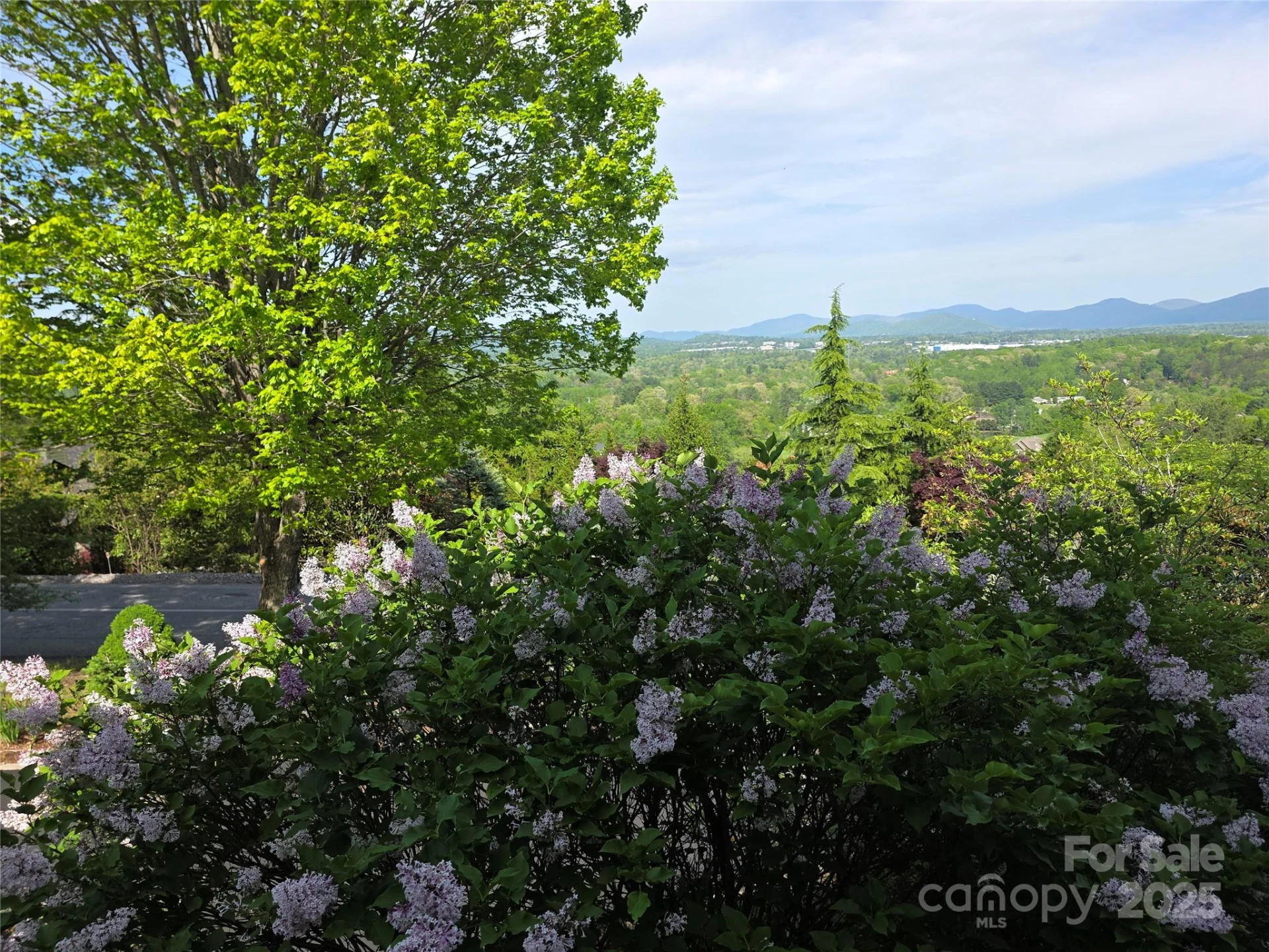800610 Ivy Road #217 - Photo 13