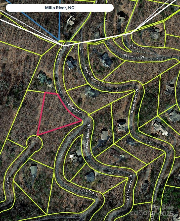 800610 Ivy Road #217 - Photo 3