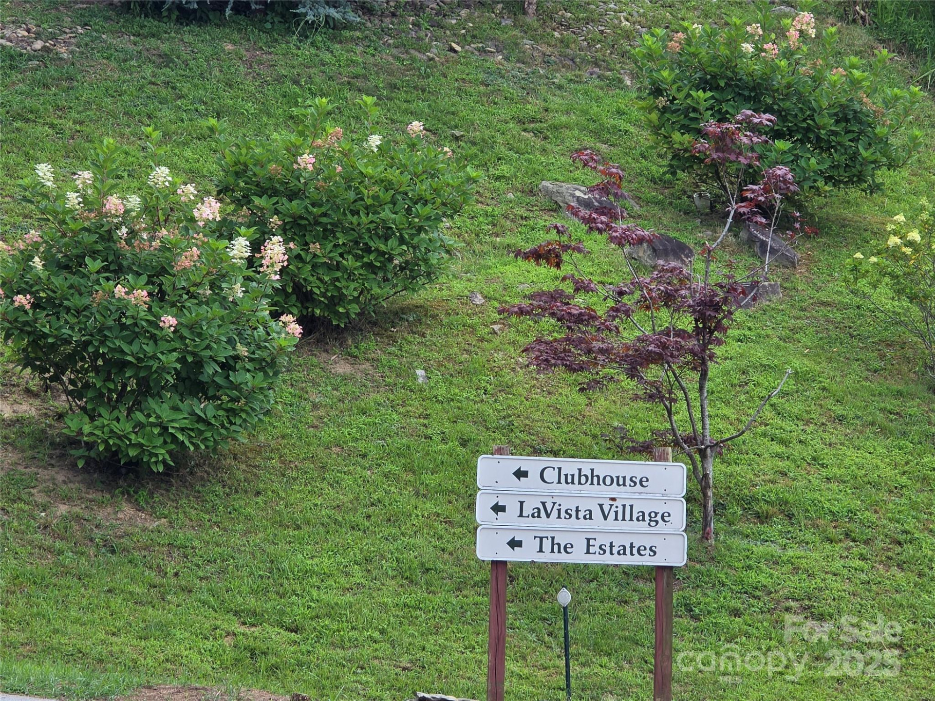 800610 Ivy Road #217 - Photo 25