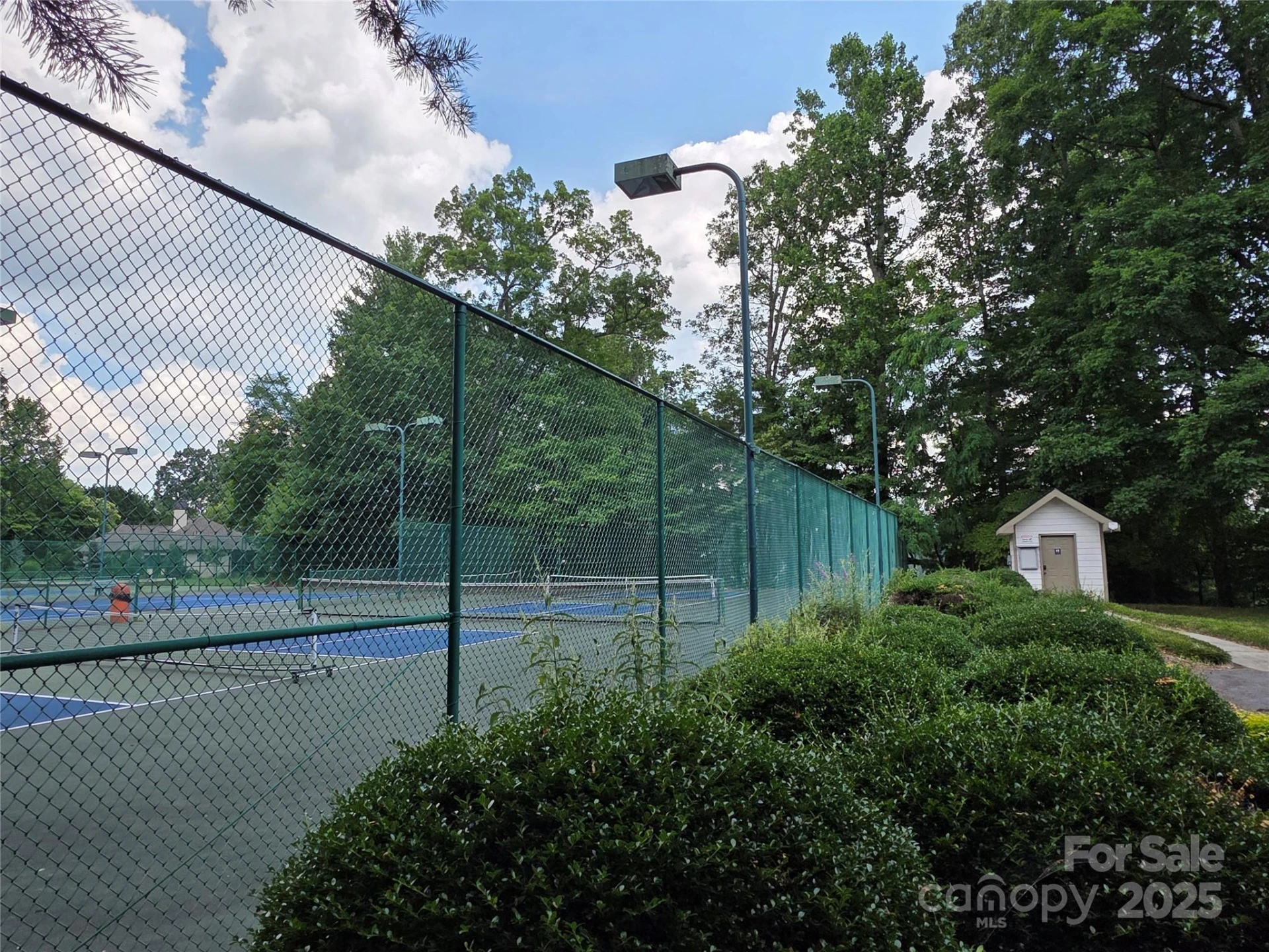 800610 Ivy Road #217 - Photo 28